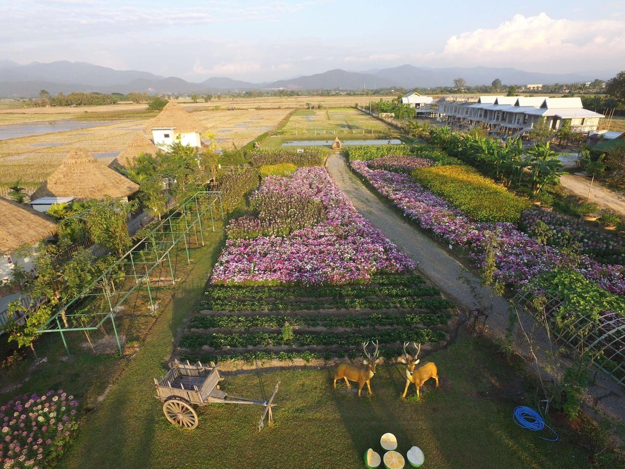Phusanfah Resort Mae Taeng Εξωτερικό φωτογραφία